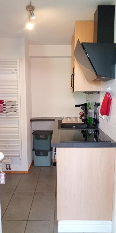 Ferienwohnung In Grenzach Ngoại thất bức ảnh
